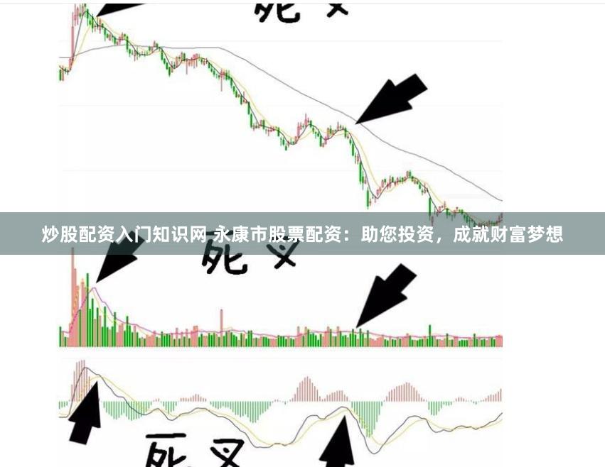 炒股配资入门知识网 永康市股票配资：助您投资，成就财富梦想