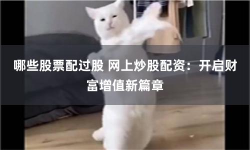 哪些股票配过股 网上炒股配资:开启财富增值新篇章