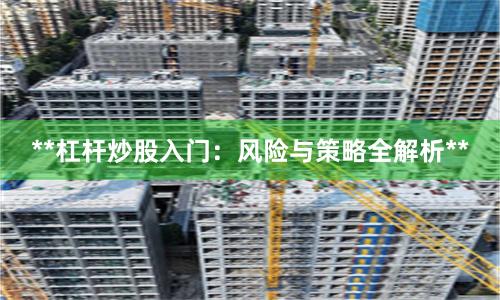 **杠杆炒股入门：风险与策略全解析**