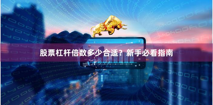 股票杠杆倍数多少合适？新手必看指南
