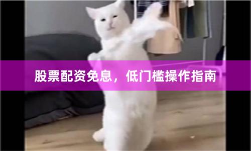股票配资免息，低门槛操作指南